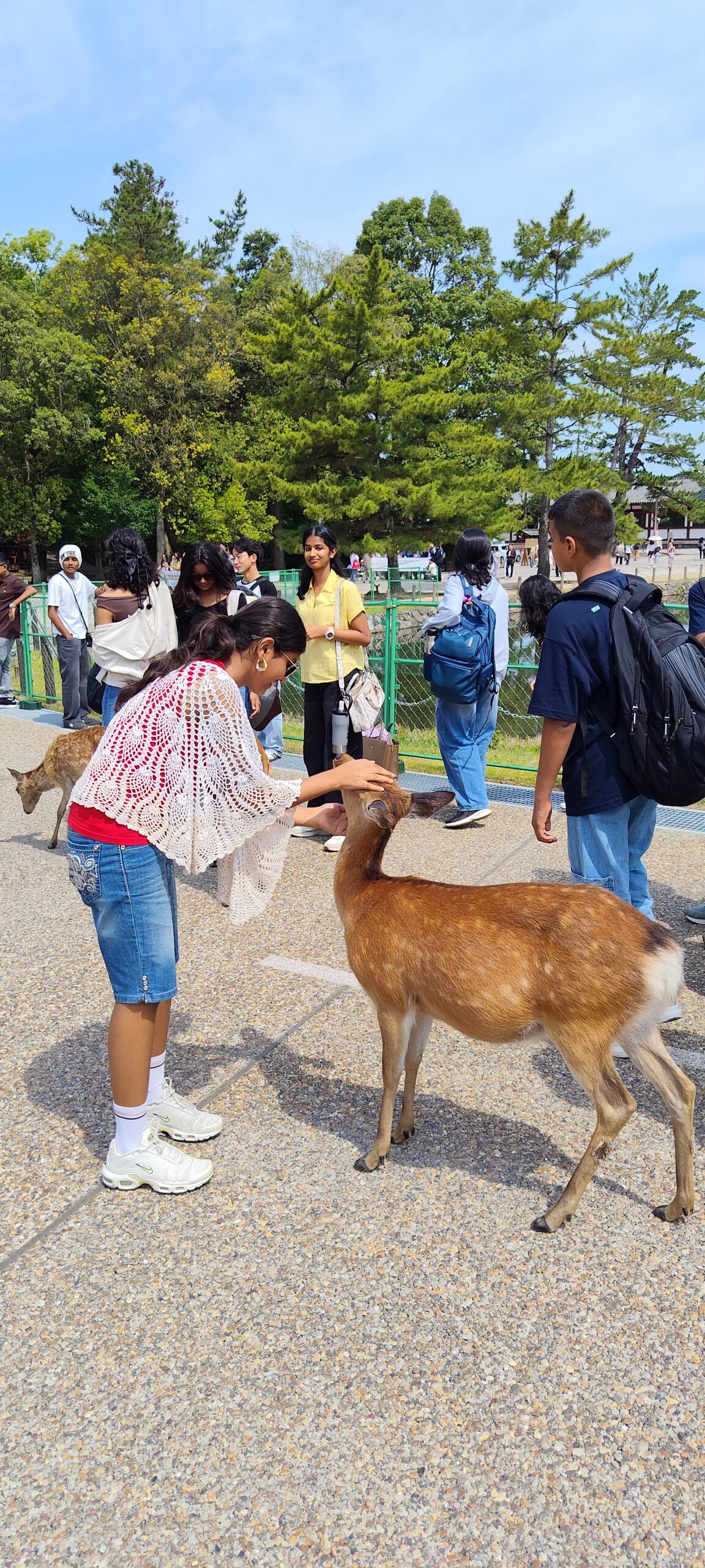 Indo-Japan Student Cultural Exchange Programme 2026 in Japan